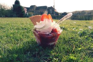 Couverture de l'initiative La Vache a Glace