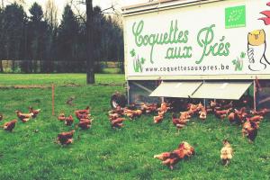 Couverture de l'initiative La Ferme du Chemin des Meuniers