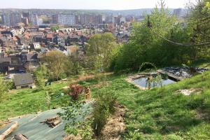 Couverture de l'initiative La Cité s'invente