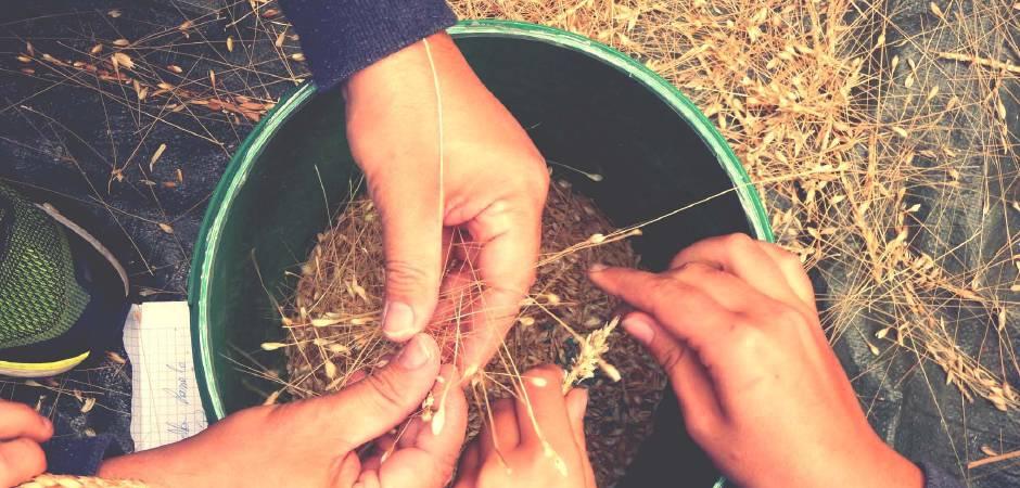 Couverture de l'initiative Un Pain C'est Tout