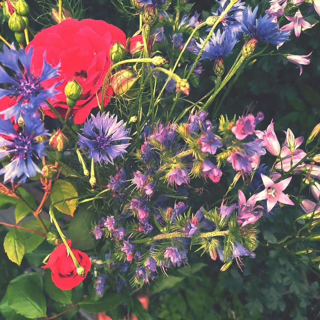 Couverture de l'initiative Un Pain C'est Tout