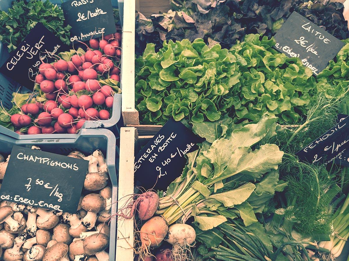 Couverture de l'initiative Un Pain C'est Tout