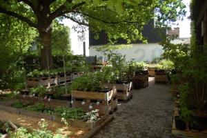 Couverture de l'initiative Le jardin d'à coté