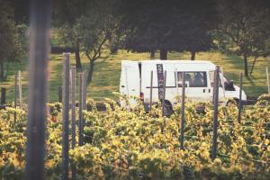 Couverture de l'initiative Vin de Liège