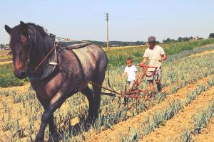 Couverture de l'initiative Le Jardin d'Antan