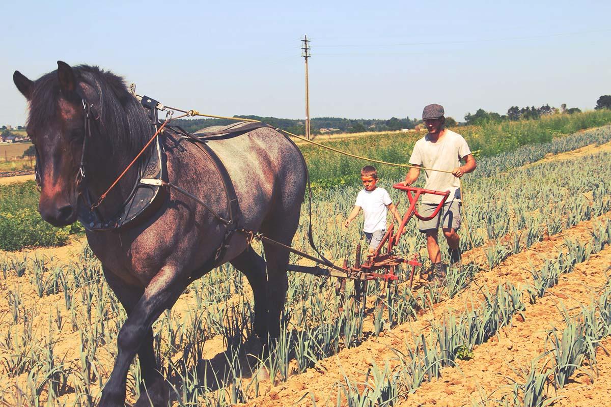 Couverture de l'initiative Un Pain C'est Tout