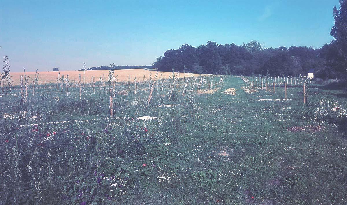 Couverture de l'initiative Un Pain C'est Tout