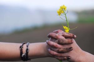 Couverture de l'initiative La Ceinture Aliment-Terre Liégeoise