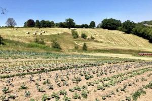 Couverture de l'initiative La Potagerie D'Antan