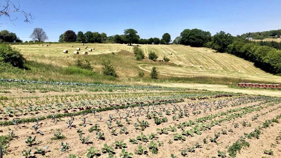 Couverture de l'initiative Un Pain C'est Tout