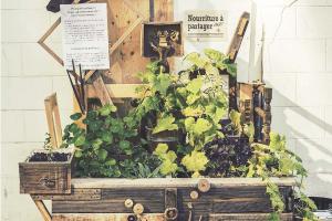 Couverture de l'initiative Incroyables Comestibles