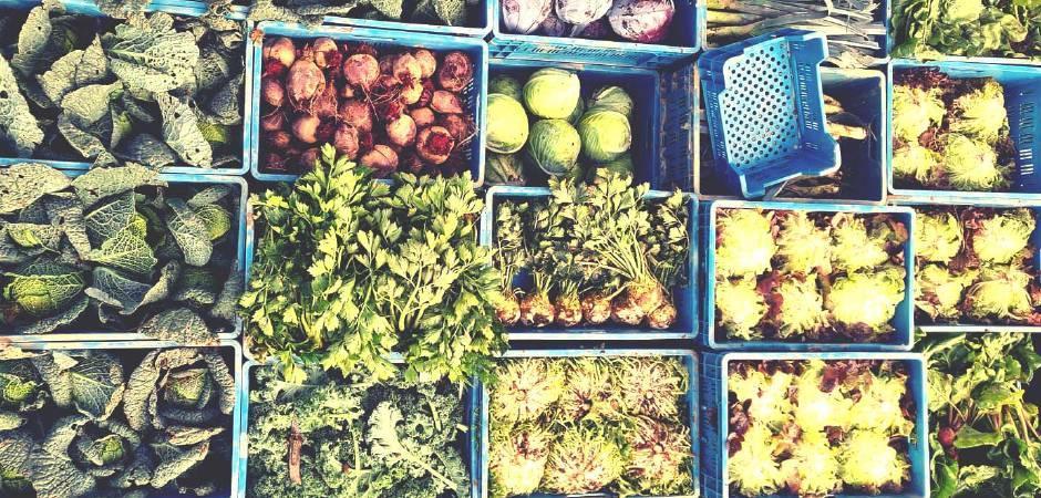 Couverture de l'initiative Un Pain C'est Tout