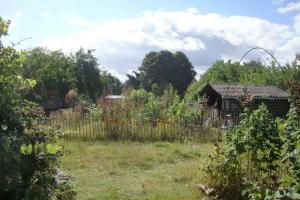 Couverture de l'initiative L'Harmony des jardins