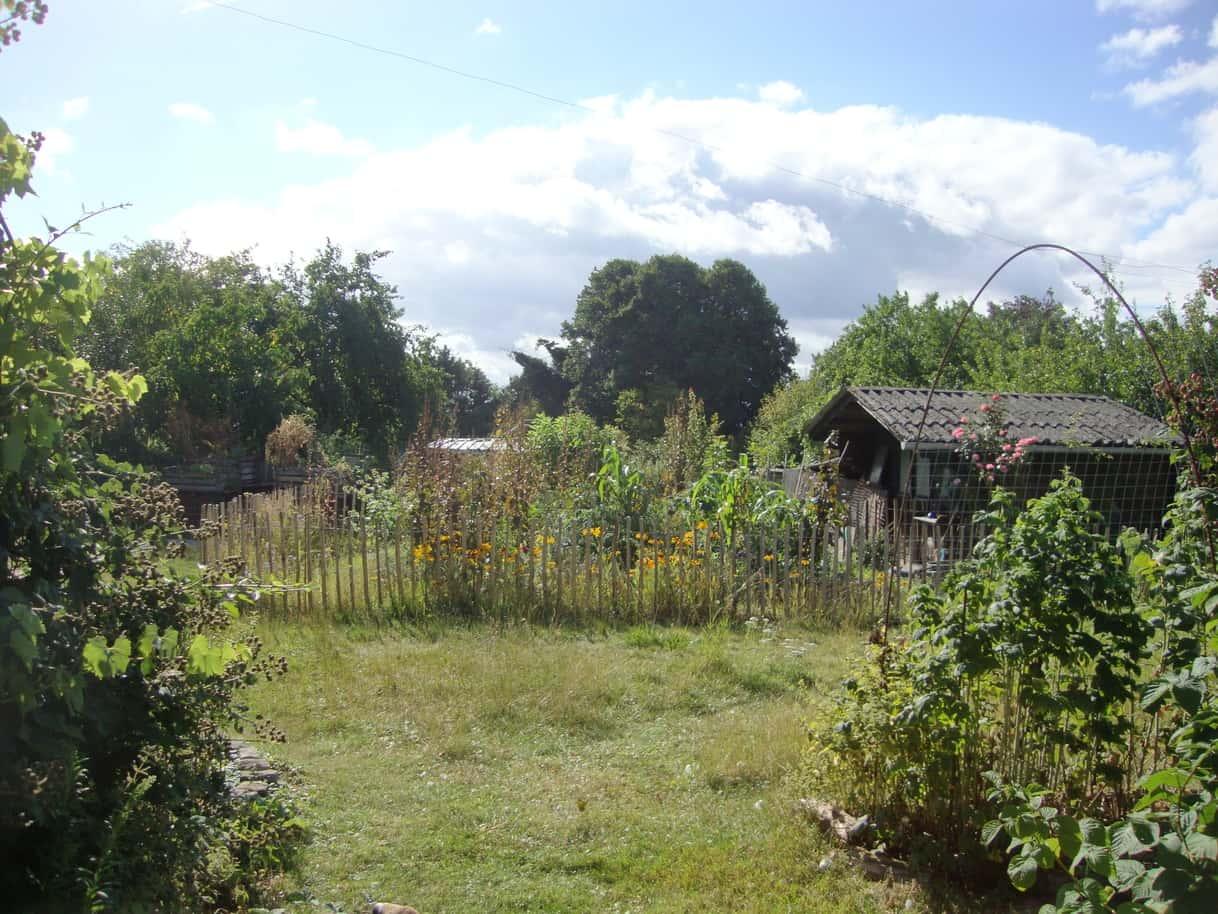 Couverture de l'initiative Un Pain C'est Tout