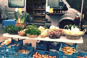 Couverture de l'initiative L'arbre de Dom