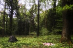 Couverture de l'initiative Terres et Nature