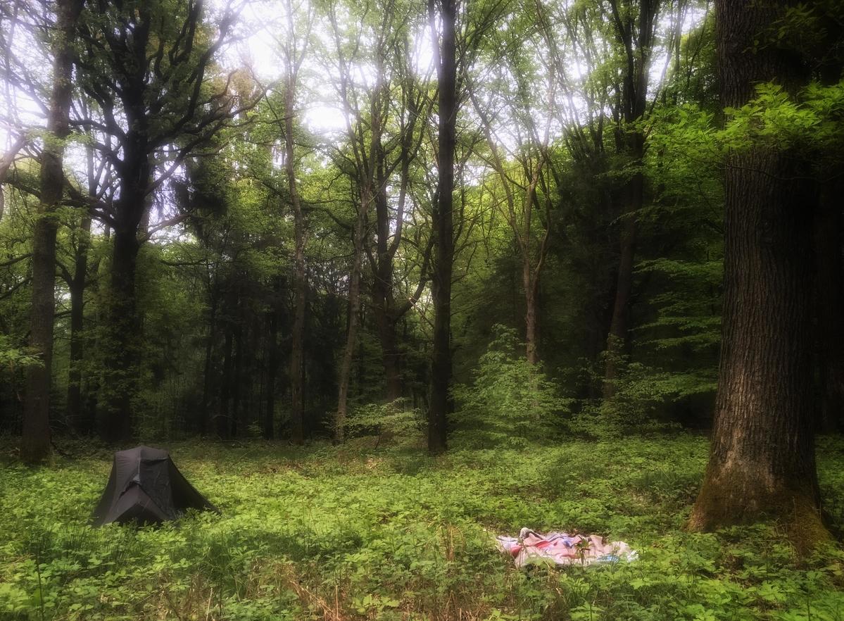 Couverture de l'initiative Un Pain C'est Tout