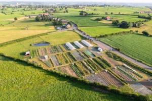 Couverture de l'initiative Le potager d'Isalie